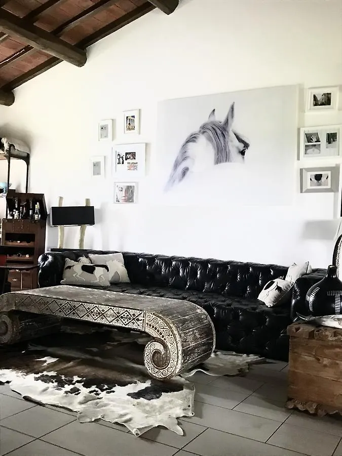 Dojo Bianco Bed & Breakfast Massa Marittima Italy