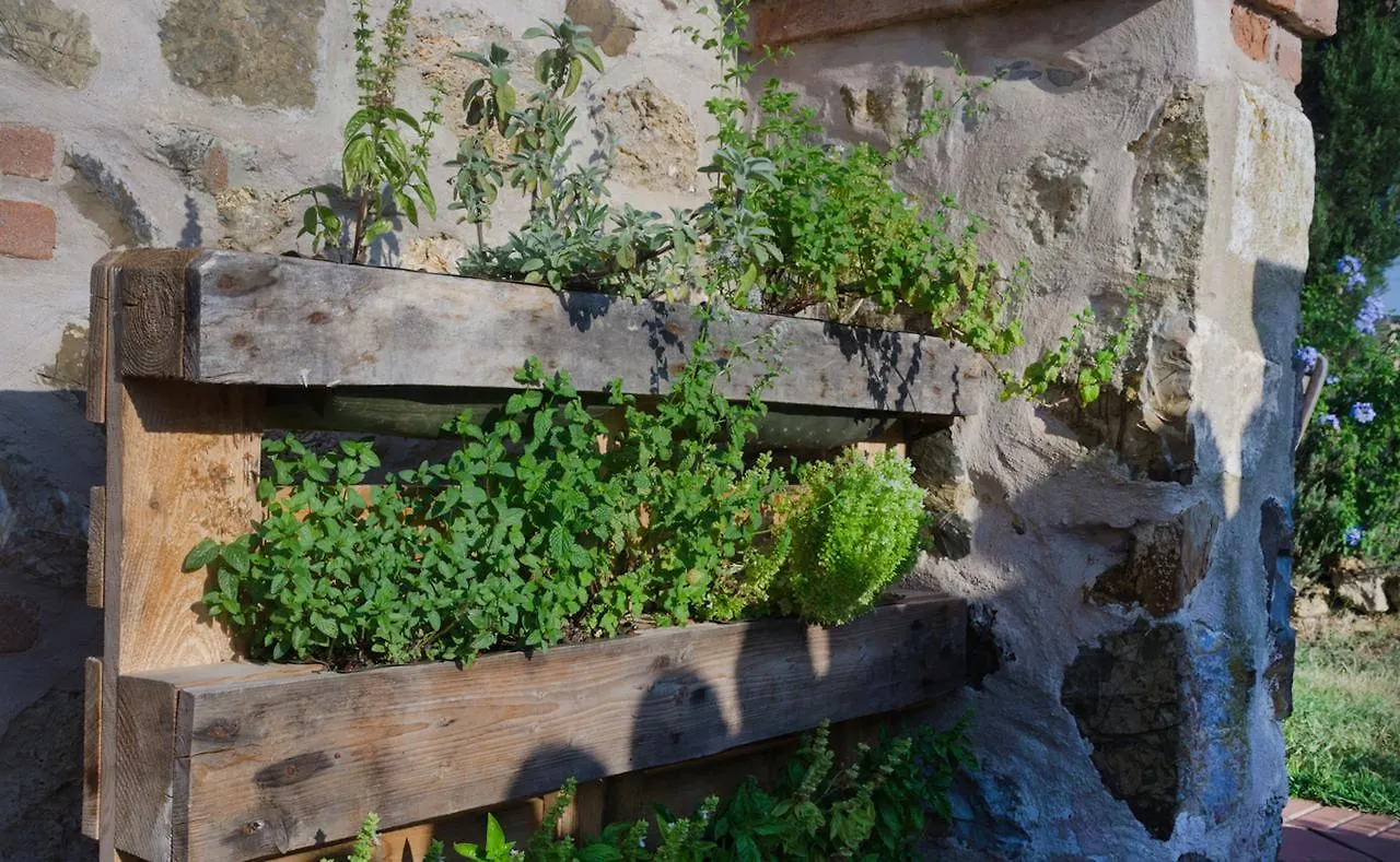 Dojo Bianco Bed and Breakfast Massa Marittima 0*,  Italien